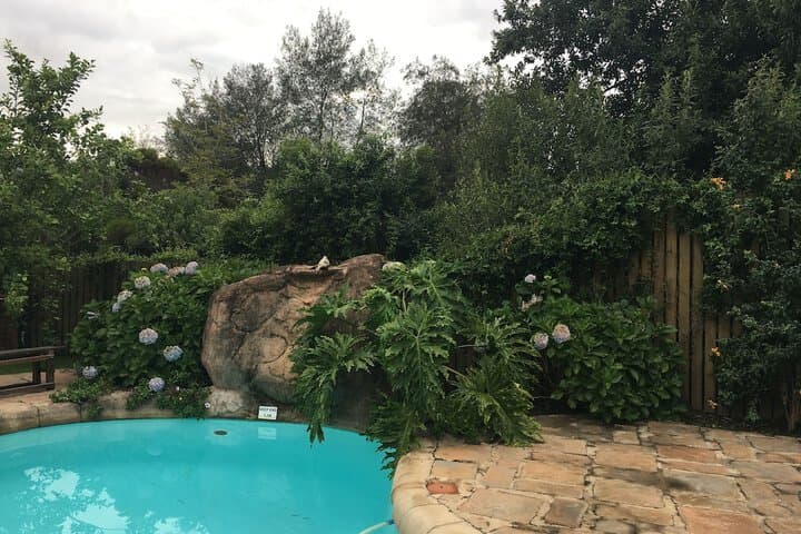 Storms River Guest Lodge photo 4