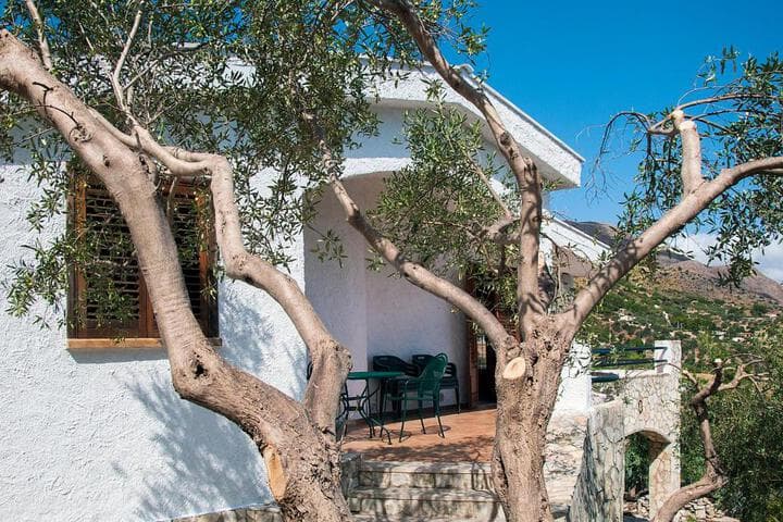 Villa Mediterranea photo 4