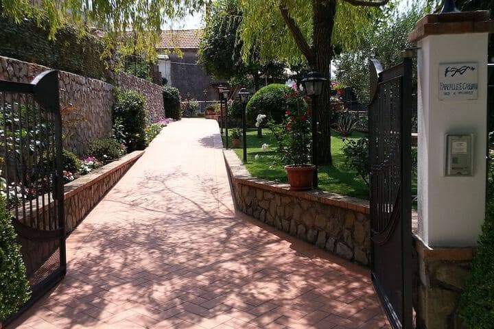 Farfalle E Gabbiani photo 3