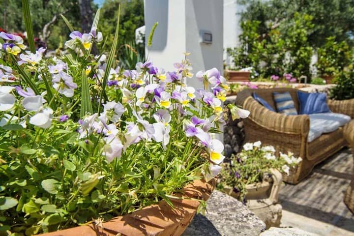Villa Scarnera photo 3