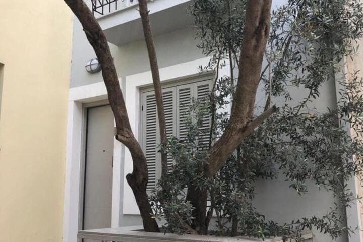 Acropolis Luxury Apartments photo 2