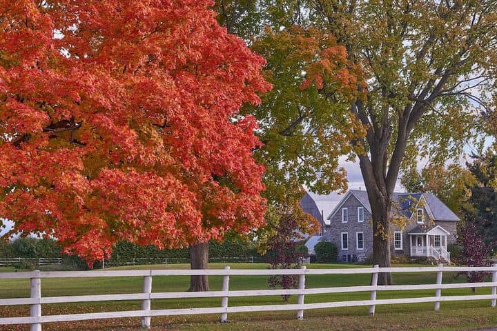 Enduring Heart Bed&Breakfast Inc. photo 3