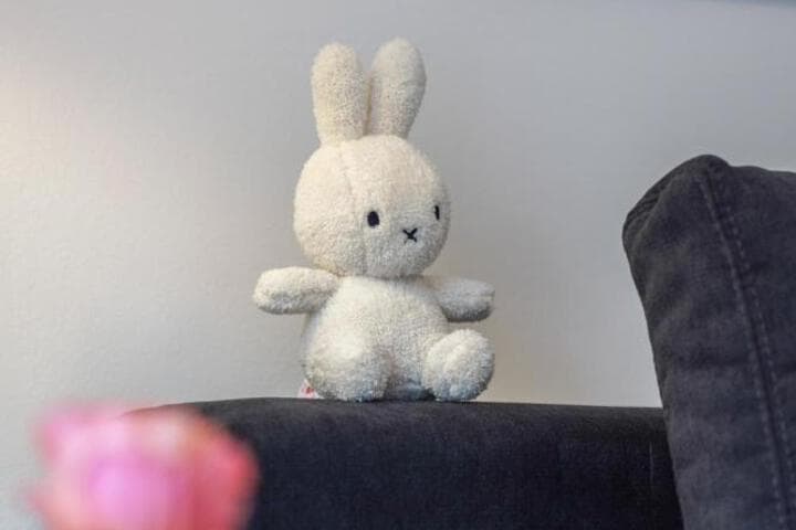 Bright Apartment photo 3