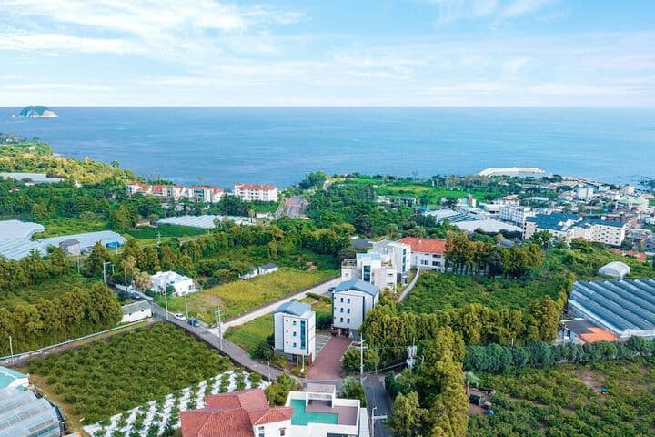 Jeju Inhouse Pension photo 3
