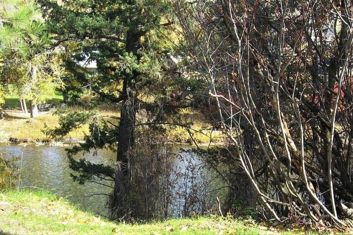 Virginian Resort photo 4