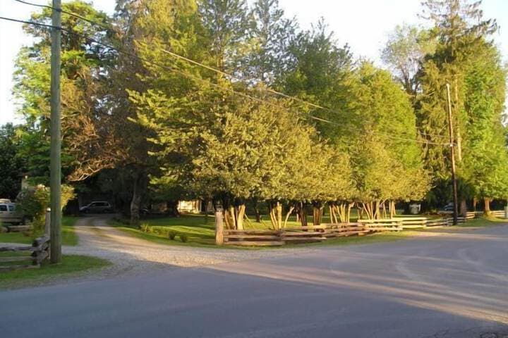 Cedar Wood Lodge B&B photo 4