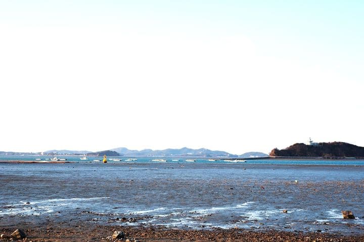 Sunrise Pension photo 3