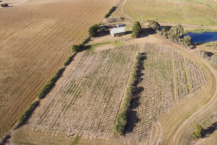 Charles Reuben Estate photo 3
