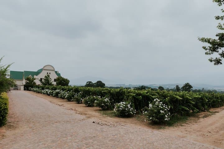 CANA Vineyard Guesthouse photo 3