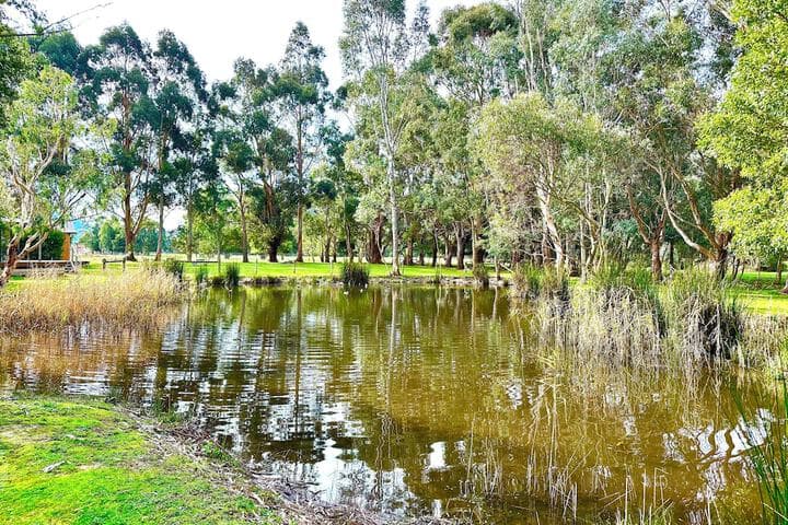 Grampians Chalets photo 4
