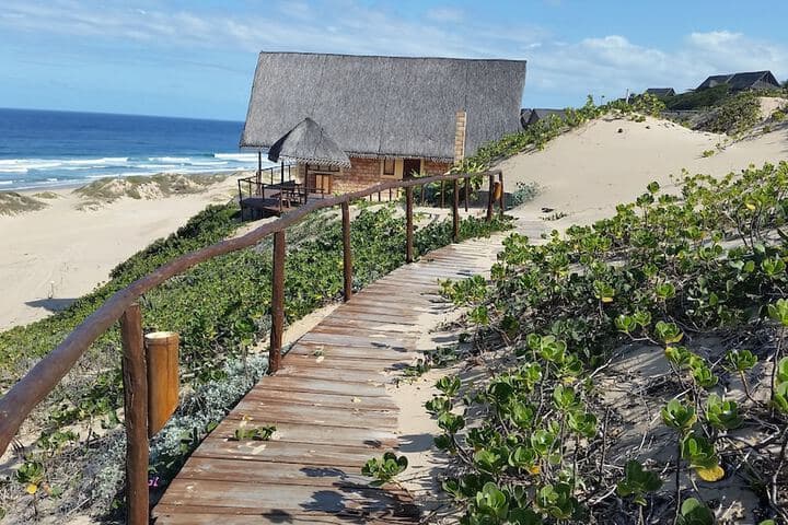 Khumbula iMozambique photo 3