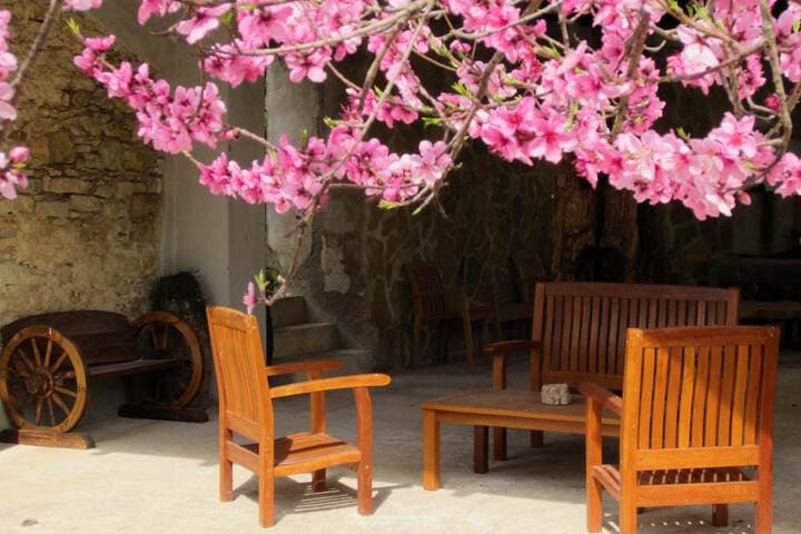 Villa Giardinata photo 3