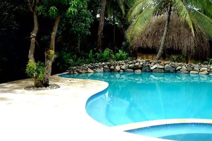 The Fiji Orchid photo 3