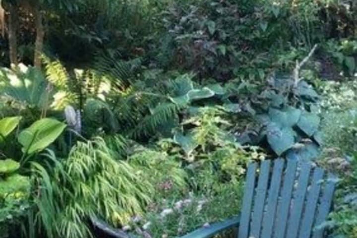 Geiger Victorian B&B photo 2