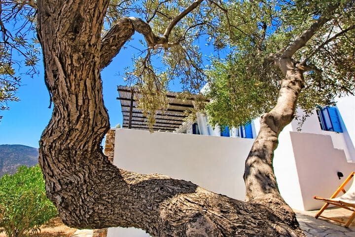 Sifnos Residence photo 2