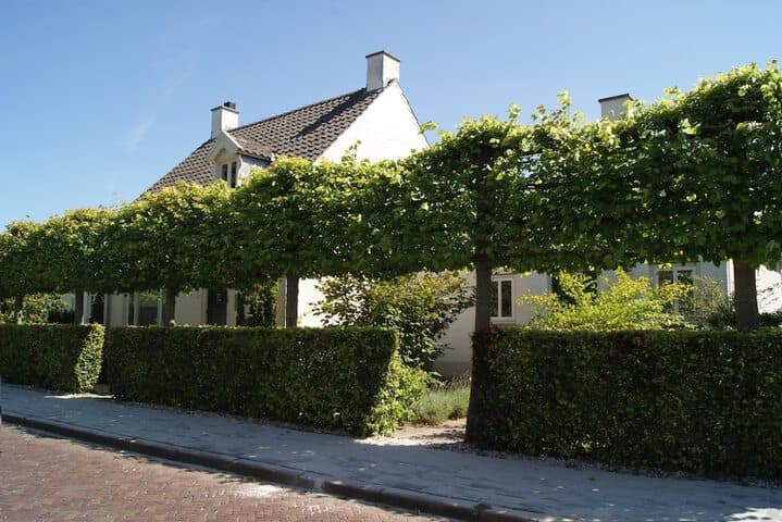 Bed & Breakfast Het Dijkhuis Eersel photo 4