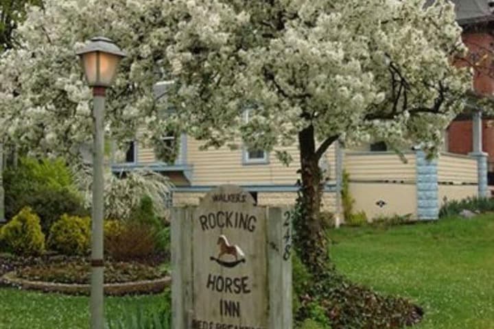 Rocking Horse Inn photo 3