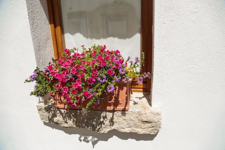 Domus Olbia Inn photo 4