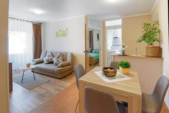 Apartments Viola photo 1