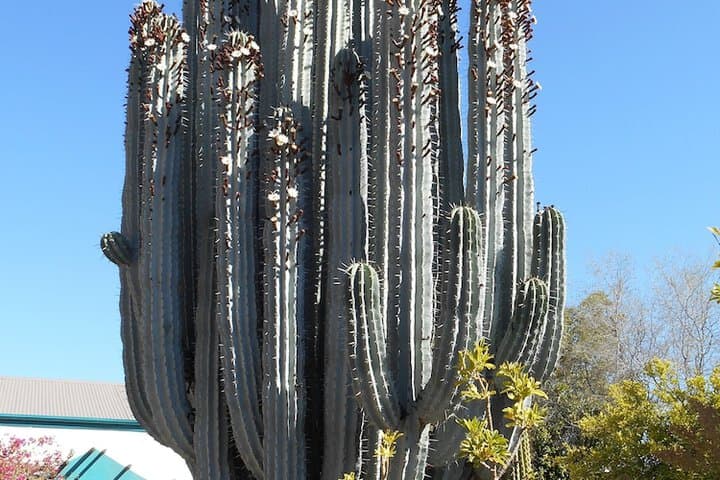 Obesa Lodge photo 2