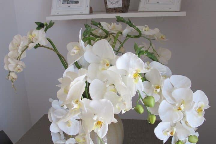 Guest House Suite Olbia photo 5