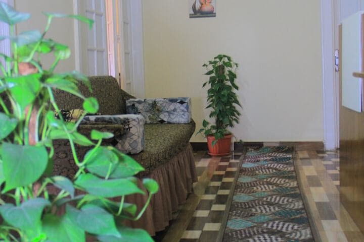 One Season Hostel photo 5