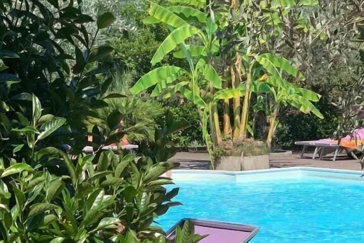 Veio Residence Resort photo 3