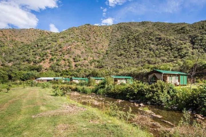 Old Mill Lodge Working Ostrich Farm & Restaurant Oudtshoorn photo 5