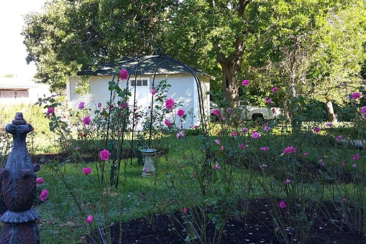 Fig Tree Manor photo 2