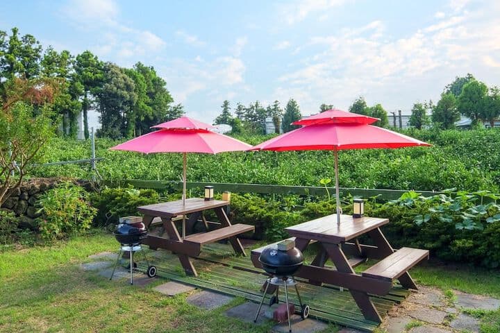 Jeju Inhouse Pension photo 4