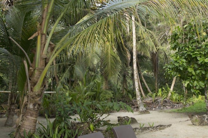 Residencia Natural photo 3
