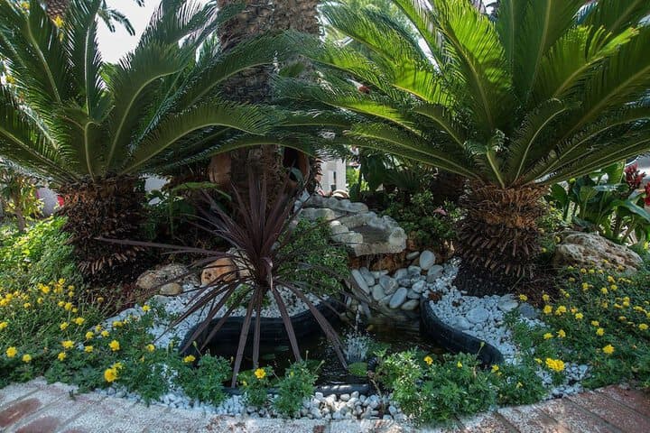 Le Palme Village photo 3