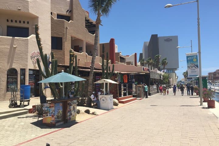 Studio Suite at Marina Cabo Plaza photo 4