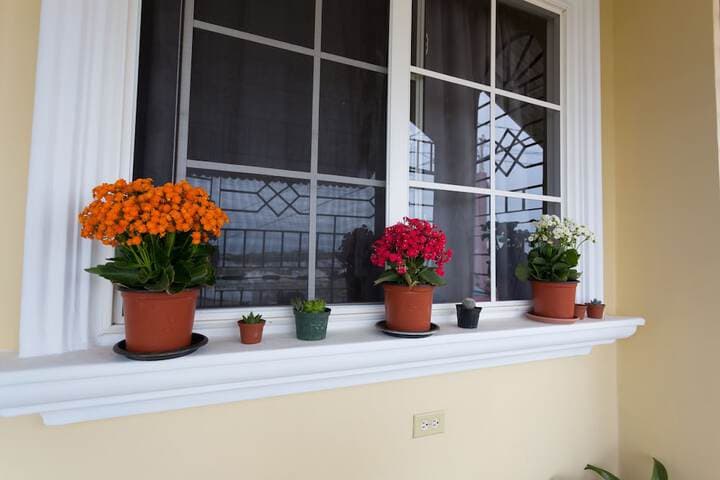 The Beach Estate Country Club Villa photo 4