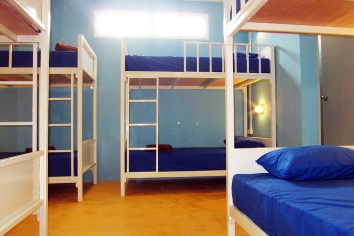 Treechart Hostel photo 3