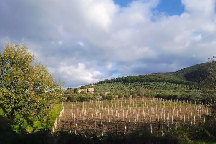 Borgo Cenaioli photo 5