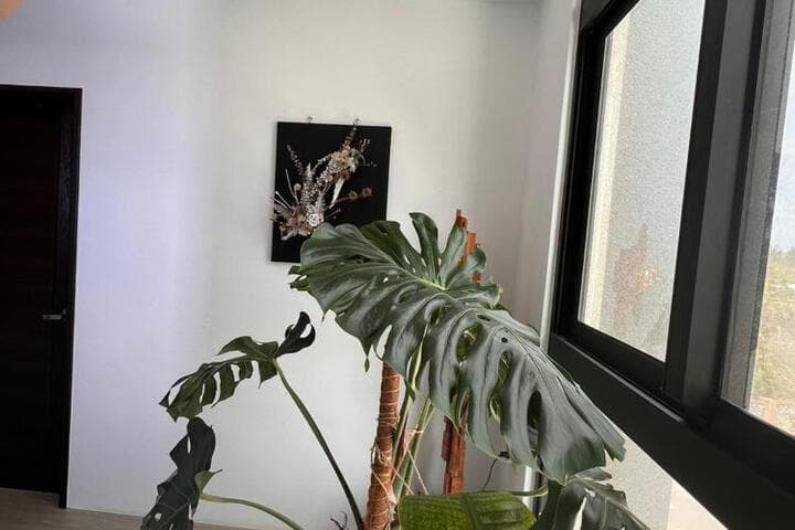 THE BIRDS NEST B&B photo 5