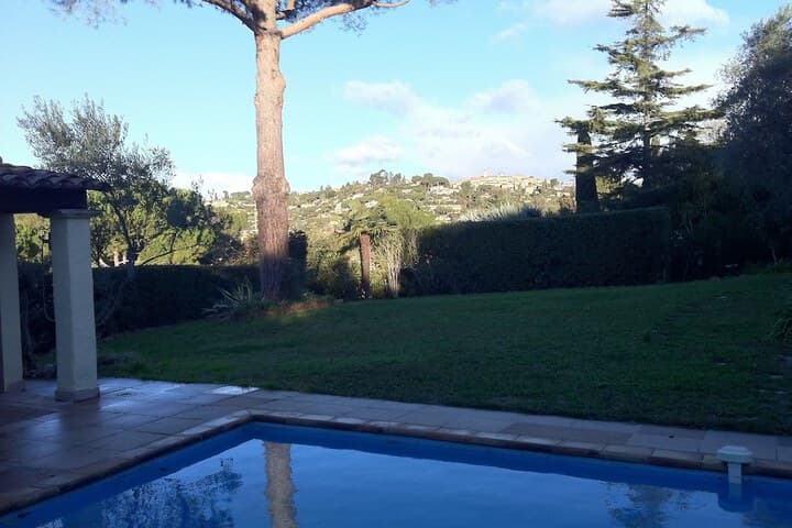 La Pelicane photo 2