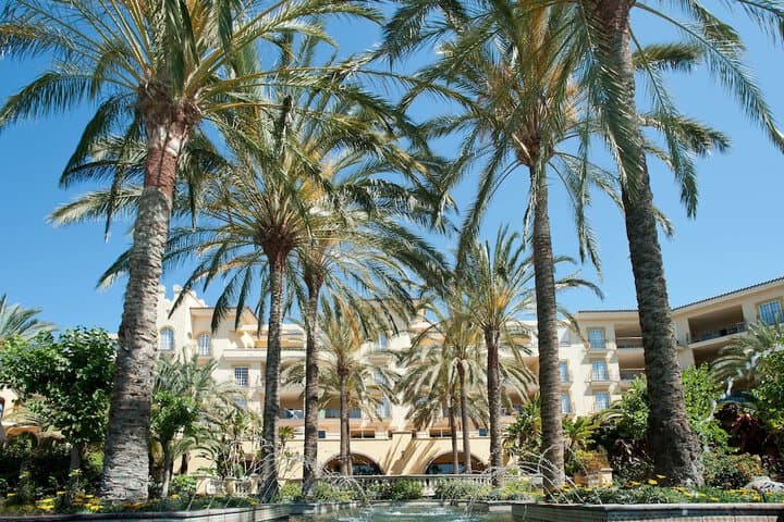 Palm Oasis Maspalomas photo 2
