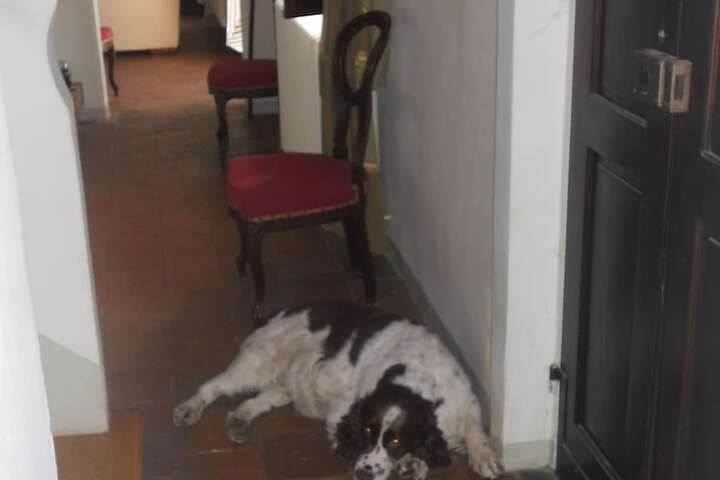 Ca Norino B&B photo 2