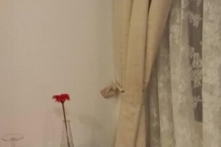 B&B Galleria Frascati photo 4