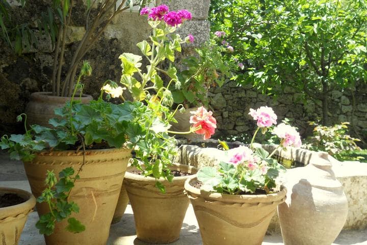 Tenuta Cammarana photo 3