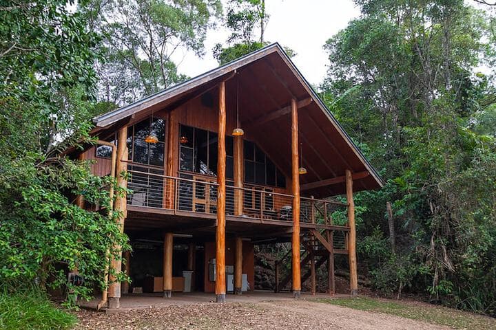 The Canopy Rainforest Treehouses&Wildlife Sanctuary photo 4
