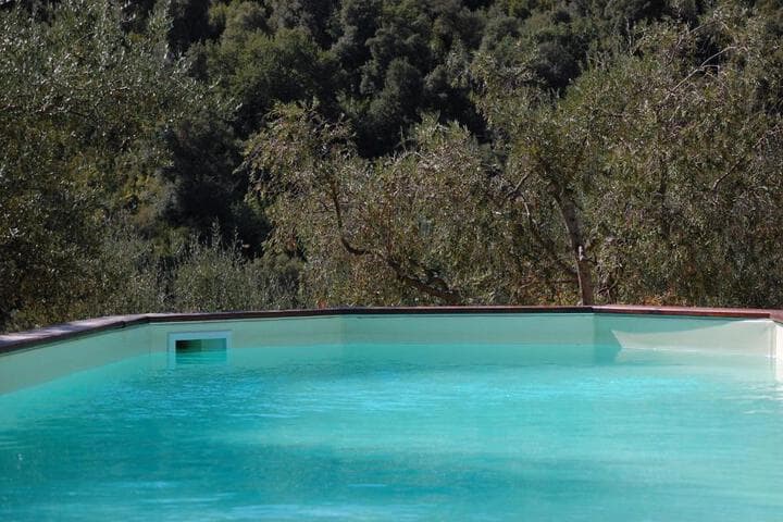 Il Pino photo 5