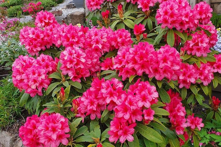 Dean Park Guest House photo 5