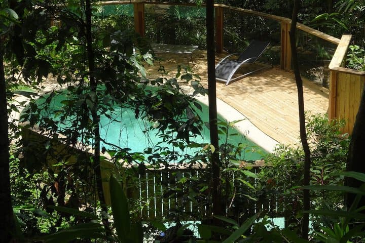 Treetops Accommodation Montville photo 3