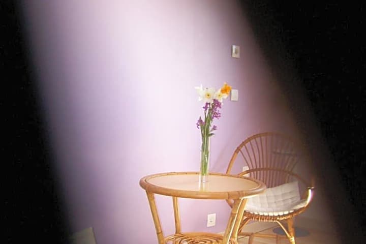 Les Rhodos photo 3