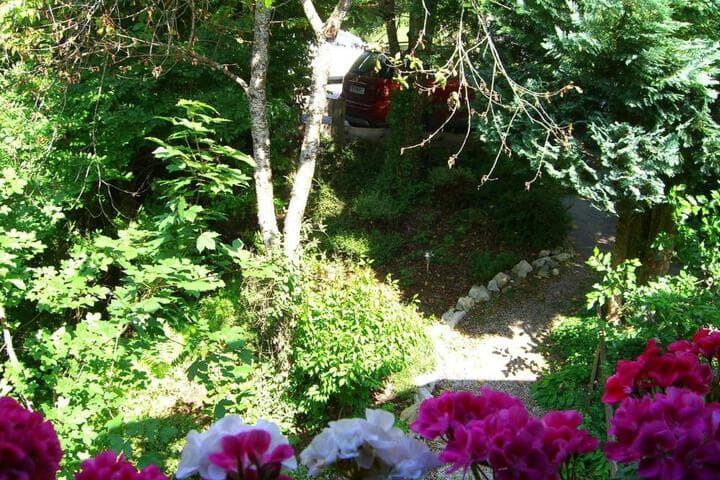 Kaiserhof photo 4