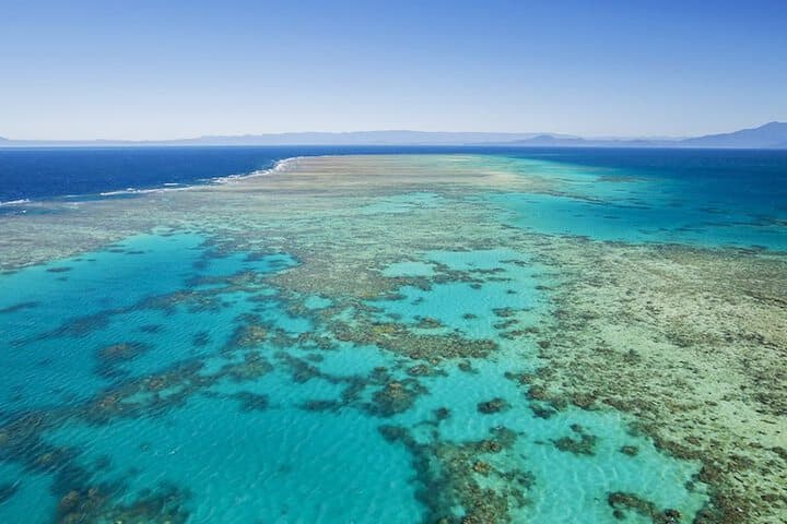 Coral Sea Villas photo 4