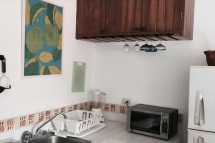 La Palapa photo 3